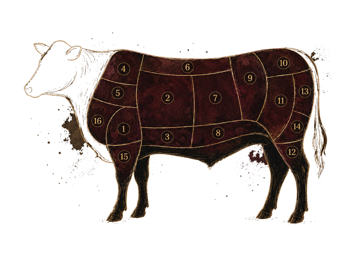 Beef cuts diagram, numbered to match the cut list