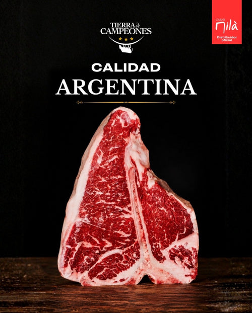 Ambassade van Argentinië