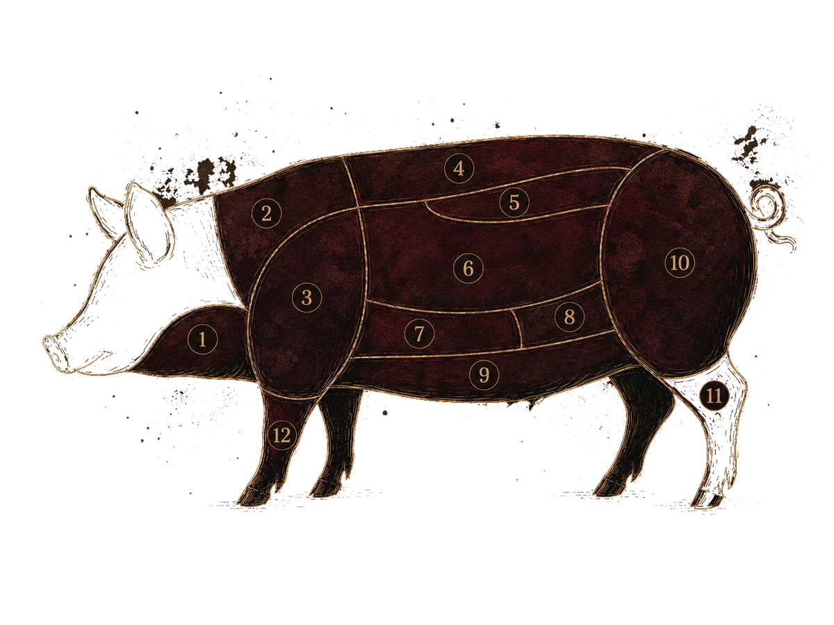 Pork cuts diagram, numbered to match the cut list